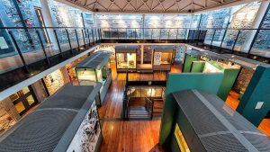 Daily Life Inside the Cells: What Records Reveal